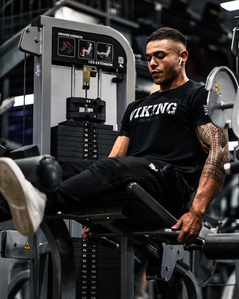Quần dài gym nam (jogger) Viking cao cấp