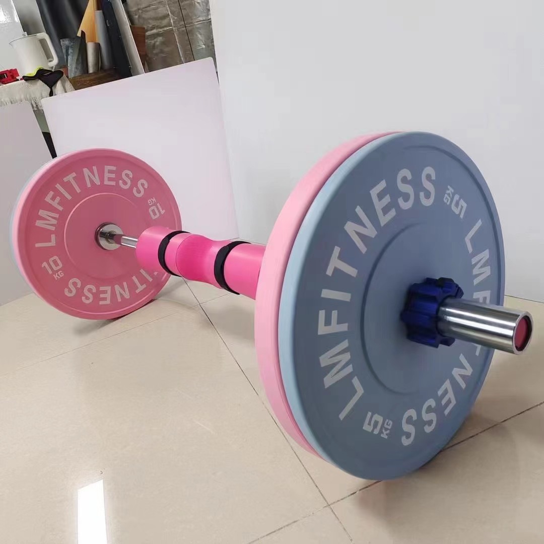 Tạ bánh 20kg màu Gym Fitness cao cấp