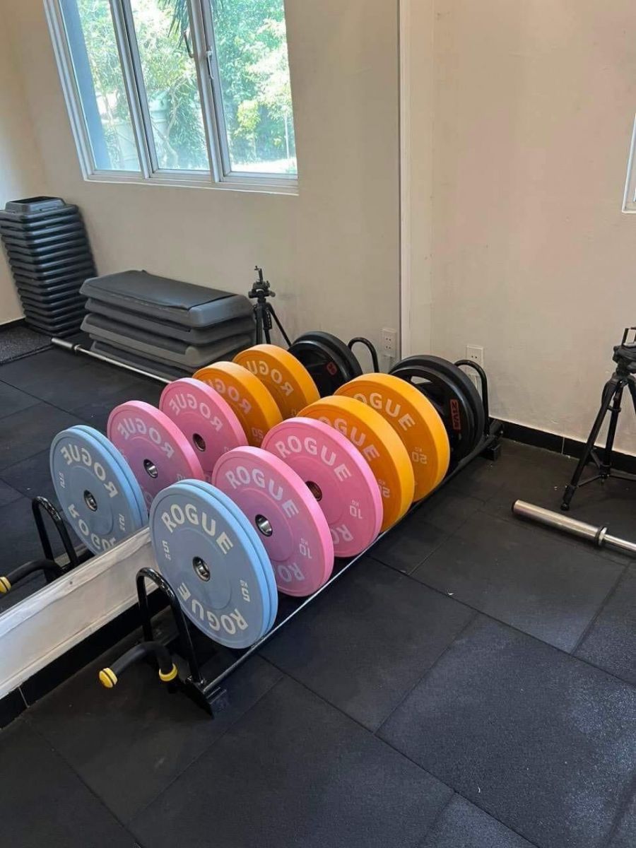 Tạ bánh màu Rogue 20kg cao cấp