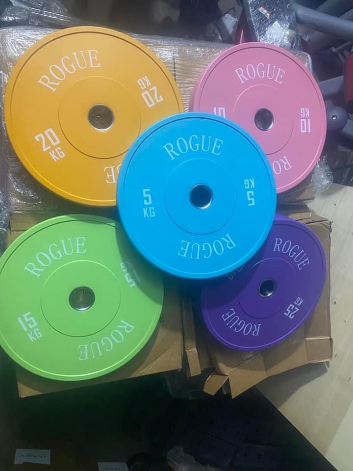 Tạ bánh màu Rogue 5kg cao cấp