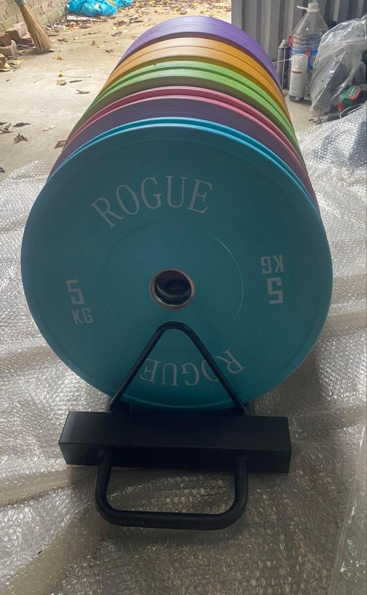Tạ bánh màu Rogue 10kg cao cấp