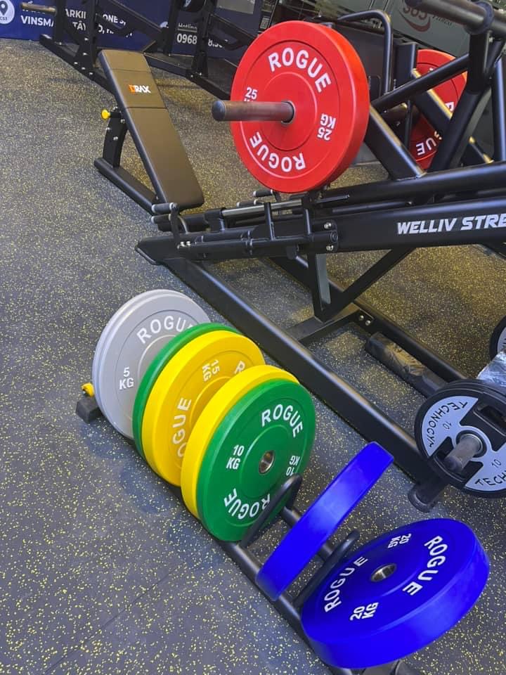 Tạ bánh màu Rogue 20kg cao cấp