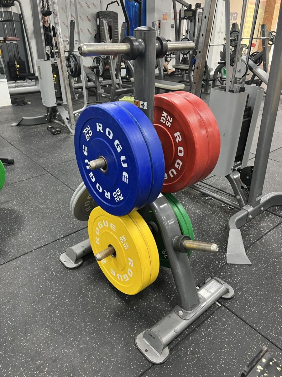 Tạ bánh màu Rogue 20kg cao cấp