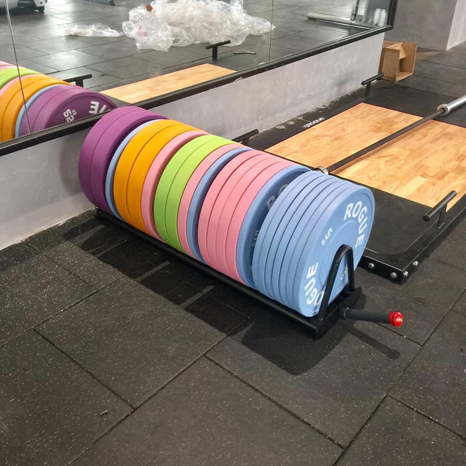 Tạ bánh màu Rogue 25kg cao cấp