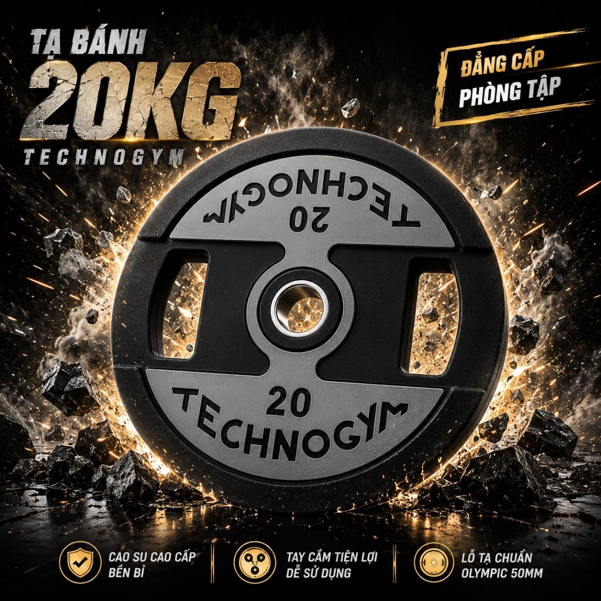 Tạ bánh Technogym 25kg
