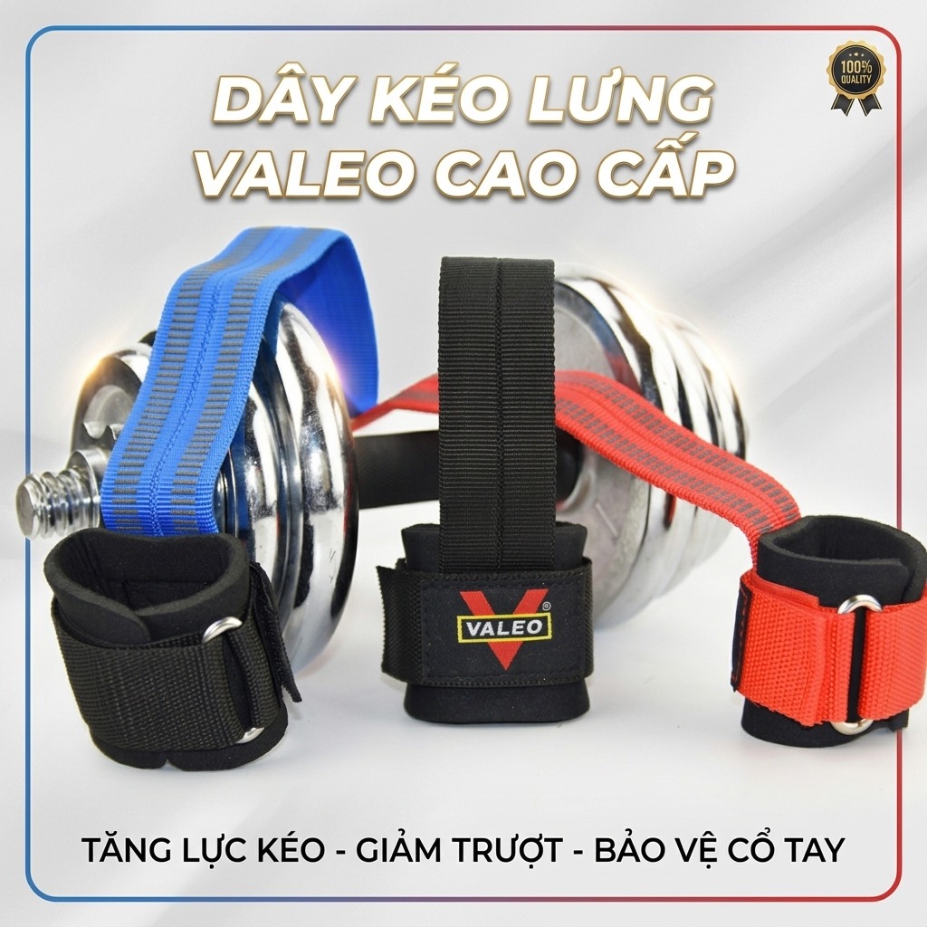 Dây kéo lưng trợ lực cổ tay chính hãng Valeo